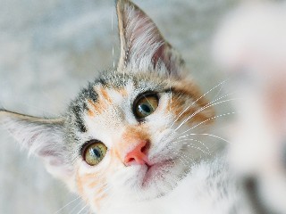 Registro institucional de integração de hardware